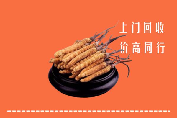 高价求购：芜湖市南陵回收散虫草