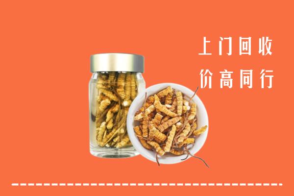 芜湖市南陵回收冬虫夏草